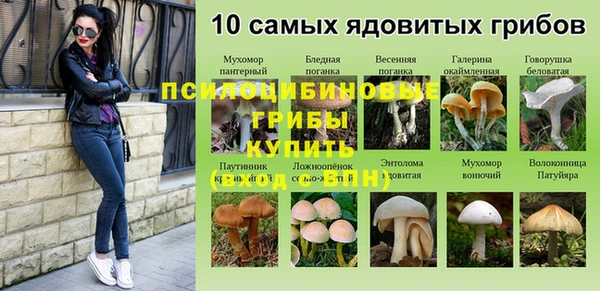 мет Каменка