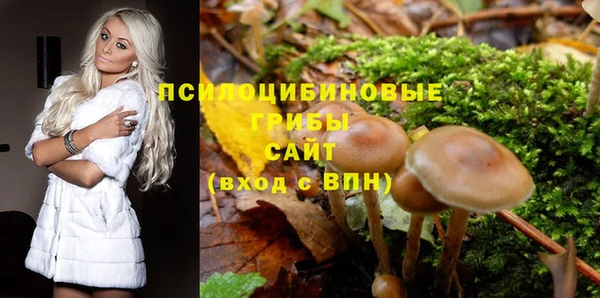 гашишное масло Касимов