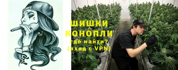 сатива Шадринск