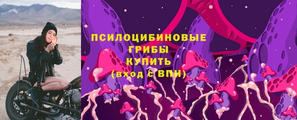 ECSTASY Карпинск