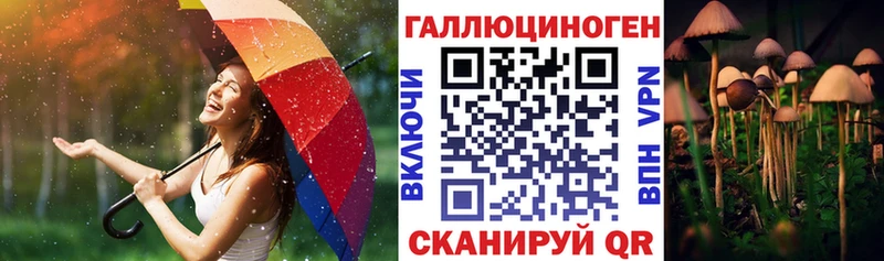 Купить закладки  Светлоград  Галлюциногенные грибы ЛСД 